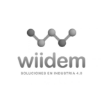 Logo wiidem